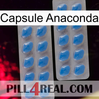 Anaconda Capsule 23